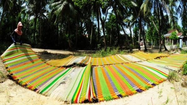 Làng nghề chiếu cói 200 năm tuổi