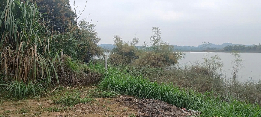 Nằm dưới lòng hồ đã được san lấp trước đây, nhiều phần đất rộng hàng trăm mét vuông được đóng cọc bê tông, quay thép gai phân lô.