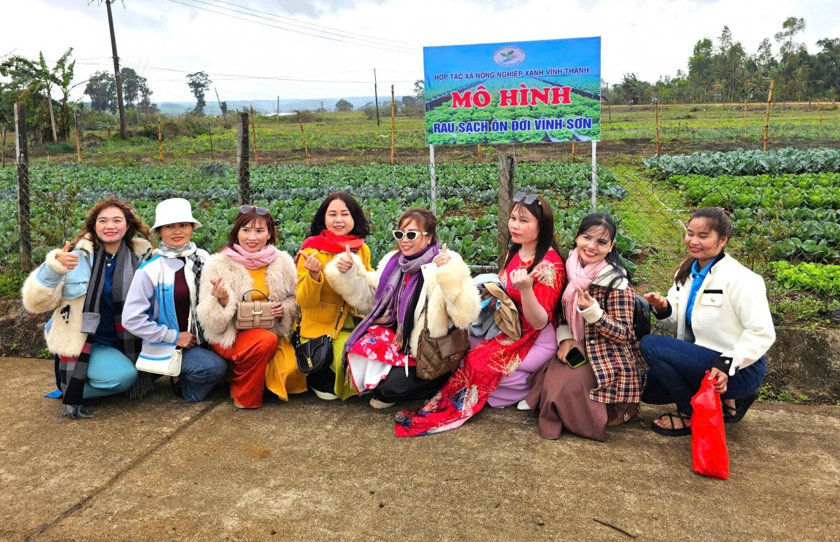 Tỉnh Bình Định: Lên cổng trời Vĩnh Sơn thưởng thức dâu tây và rau ôn đới