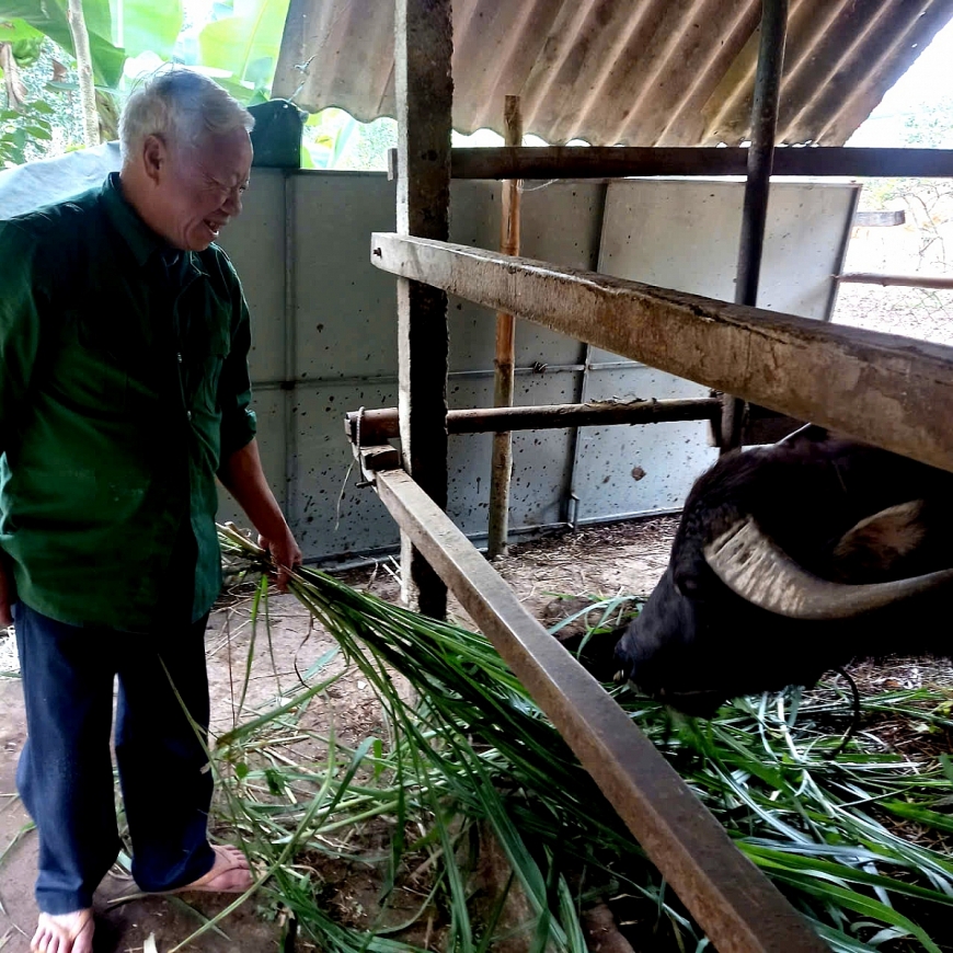 Đảng viên cao tuổi hiến ngàn mét vuông đất xây dựng nông thôn mới