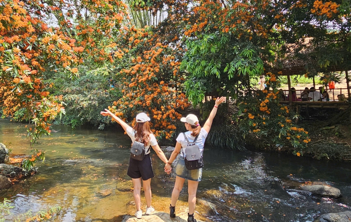 Tỉnh Bình Định: Ngày hội thưởng ngoạn hoa trang suối Tà Má