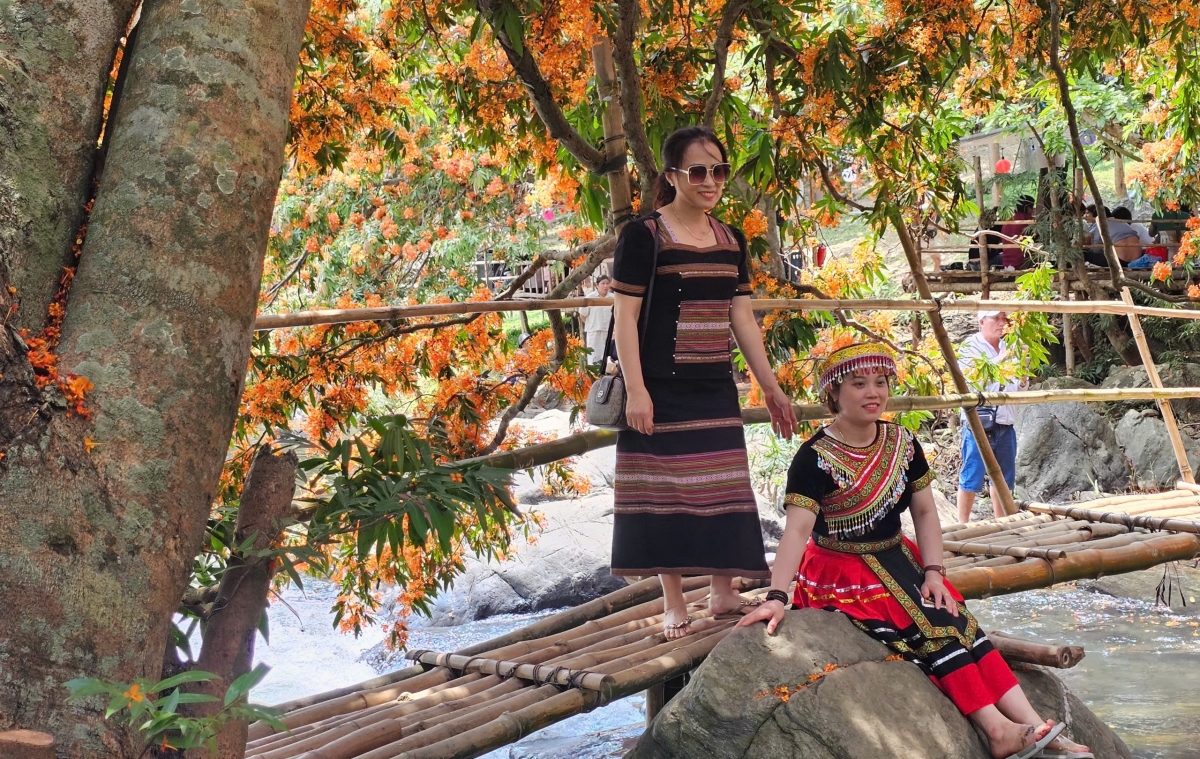 Tỉnh Bình Định: Ngày hội thưởng ngoạn hoa trang suối Tà Má