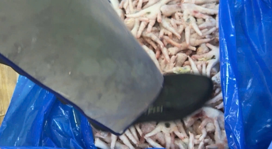 Công nhân dùng chân dẫm đạp lên chân gà, chân gà có màu xám như mốc.