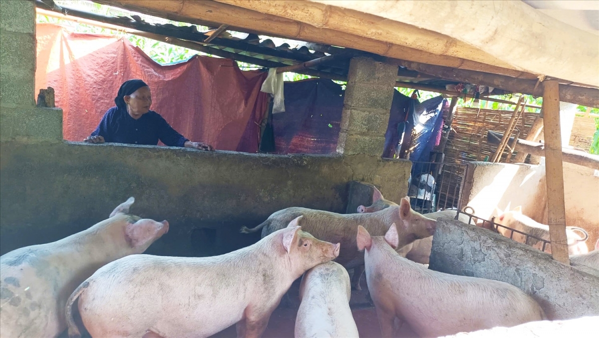 NCT huyện Bình Gia tích cực lao động sản xuất, tăng thu nhập cho bản thân và gia đình