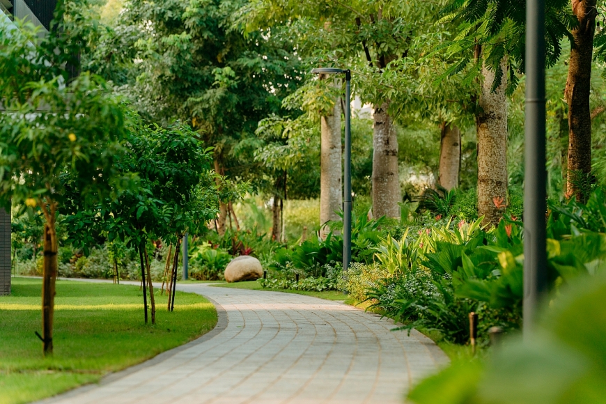 Cung đường dạo bộ 5 giác quan