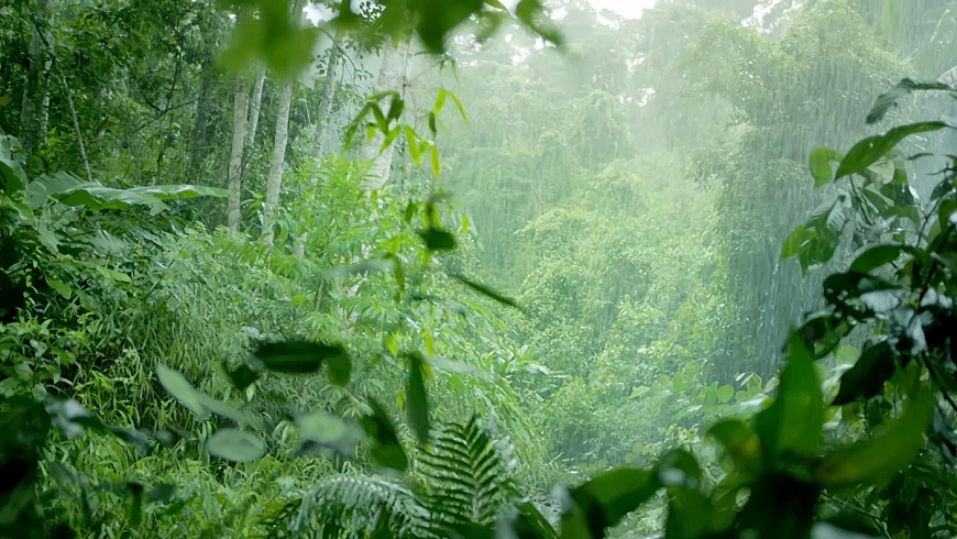 Dòng nước triệu năm từ Núi Tiên - Mạch nguồn tinh khiết từ thiên nhiên