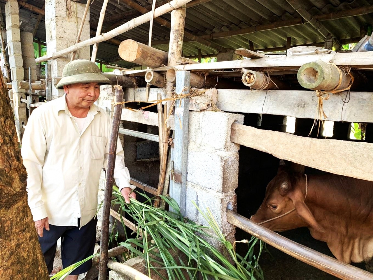 Mô hình làm kinh tế giỏi của NCT tỉnh Cao Bằng