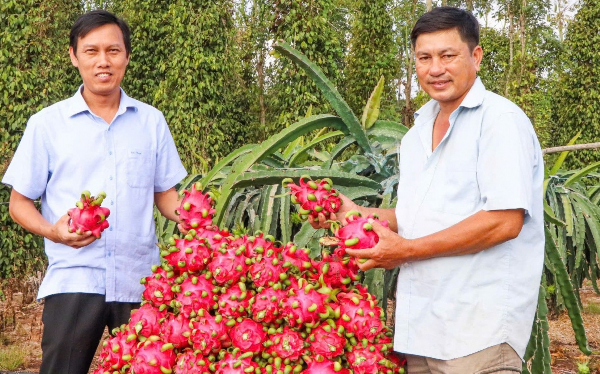 Xã Sơn Bình, huyện Châu Đức, tỉnh Bà Rịa - Vũng Tàu: Đảm bảo an sinh xã hội cho người dân