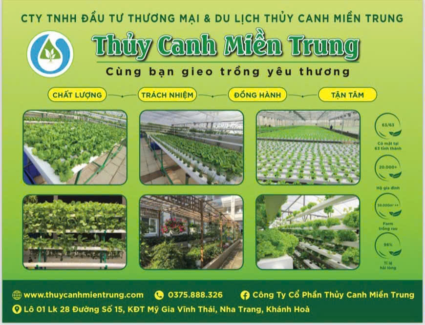 Giàn rau thuỷ canh tiện ích cho người già, sức khoẻ cho cả nhà