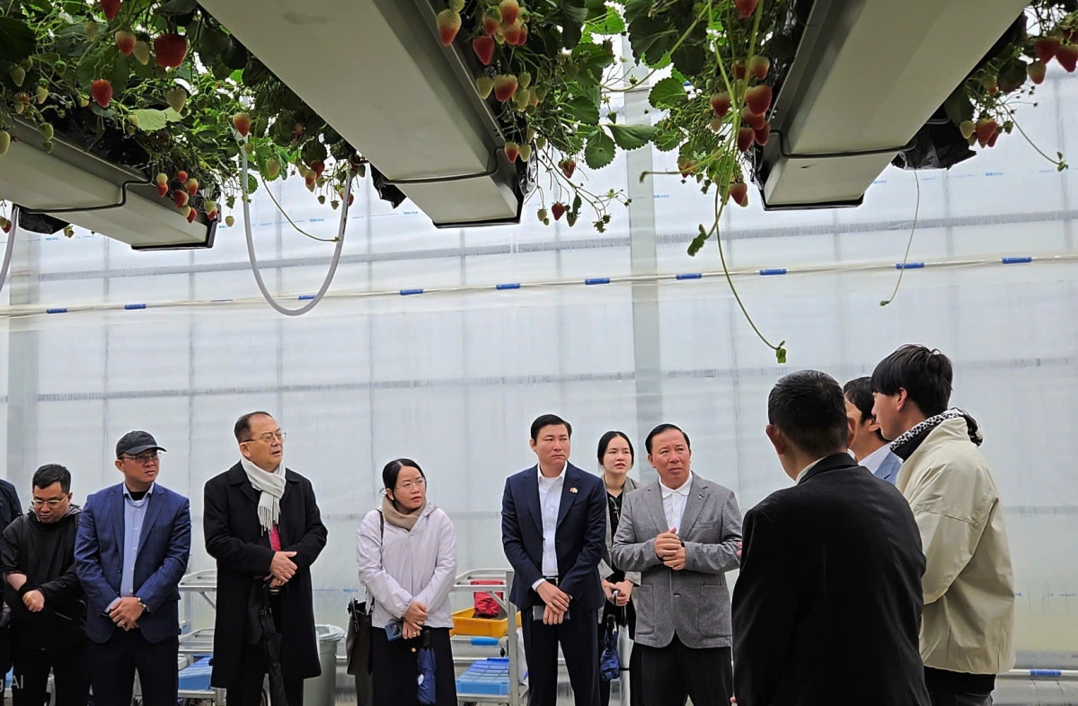 Đoàn công tác tỉnh Long An: Đạt nhiều kết quả tốt đẹp trong chuyến làm việc tại Nhật Bản