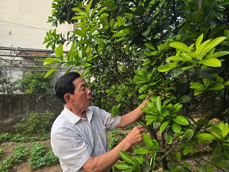 Bí thư vùng Giáo được Đảng tin, dân quý