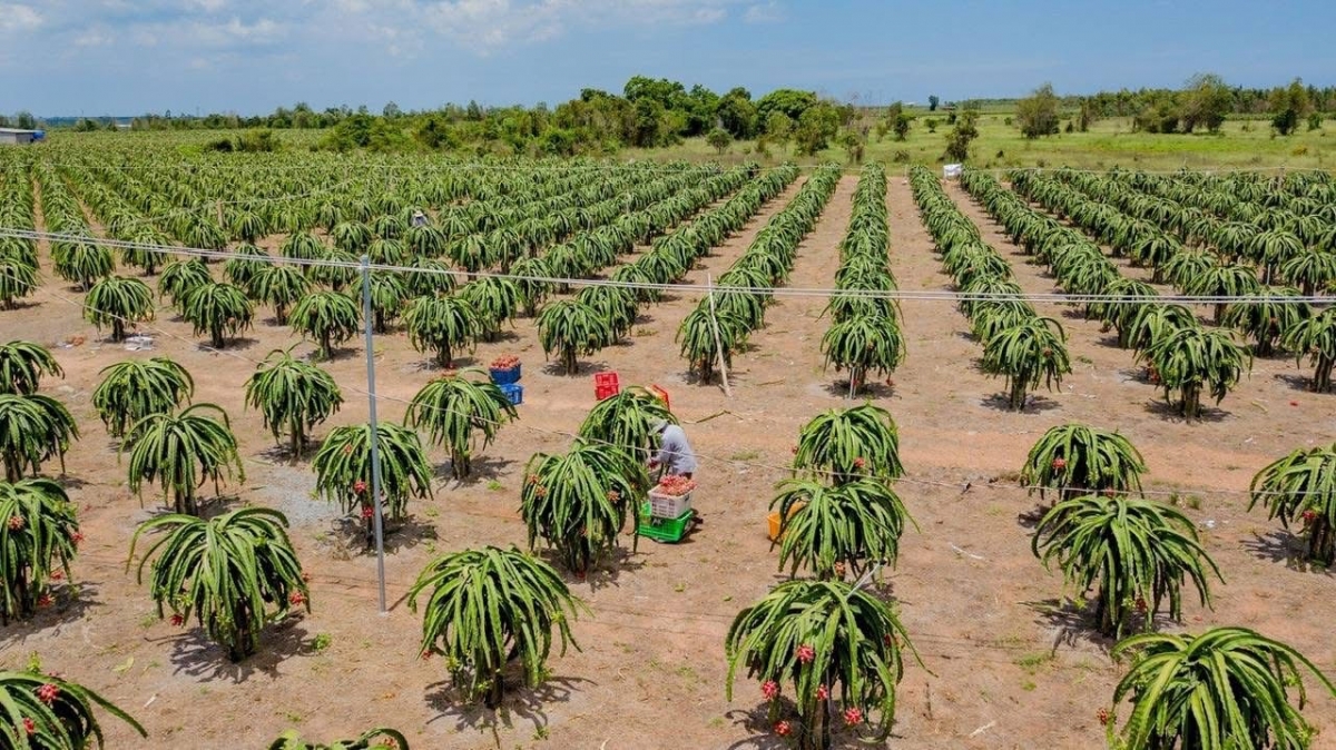 Bình Thuận: 50 năm xây dựng và phát triển