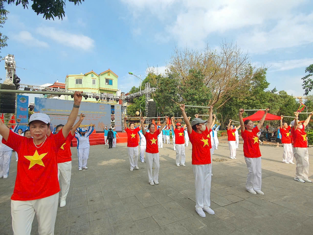 Giao lưu văn nghệ, đồng diễn dưỡng sinh chào mừng 30 năm Ngày thành lập Hội NCT Việt Nam