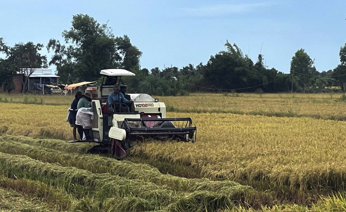 “Đất 9 Rồng” khát vọng kỷ nguyên thịnh vượng