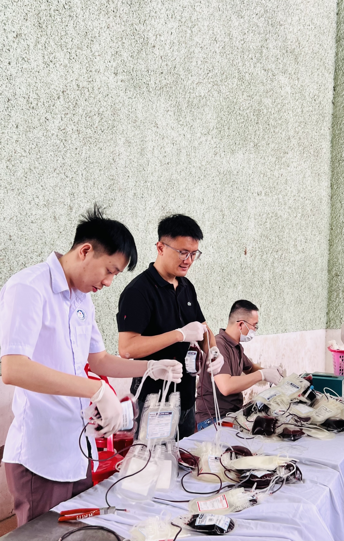 Ngày hội “Giọt hồng Kim Sơn” đã tiếp nhận 464 đơn vị máu