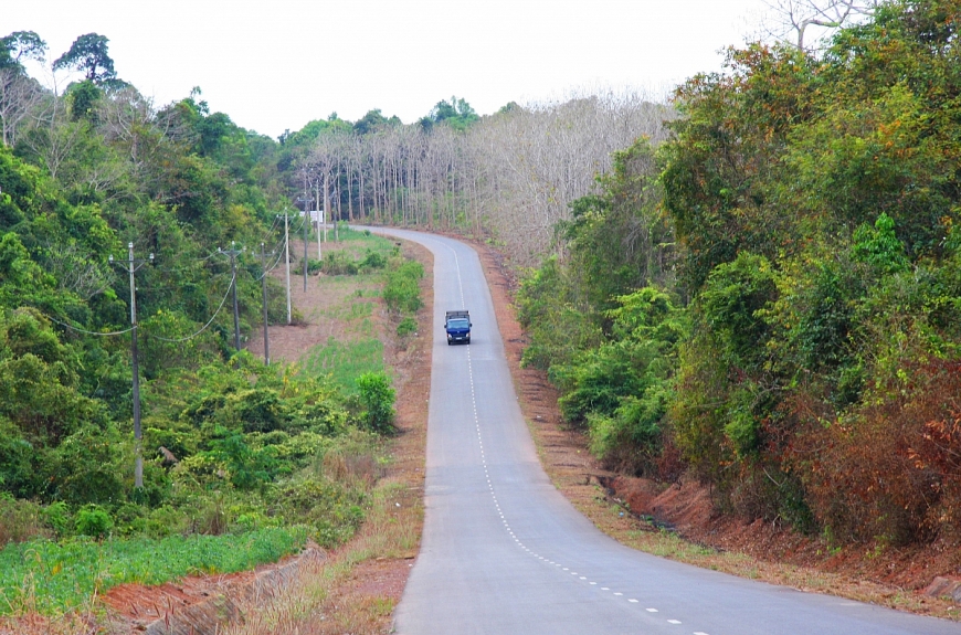 Đường về chiến khu xưa