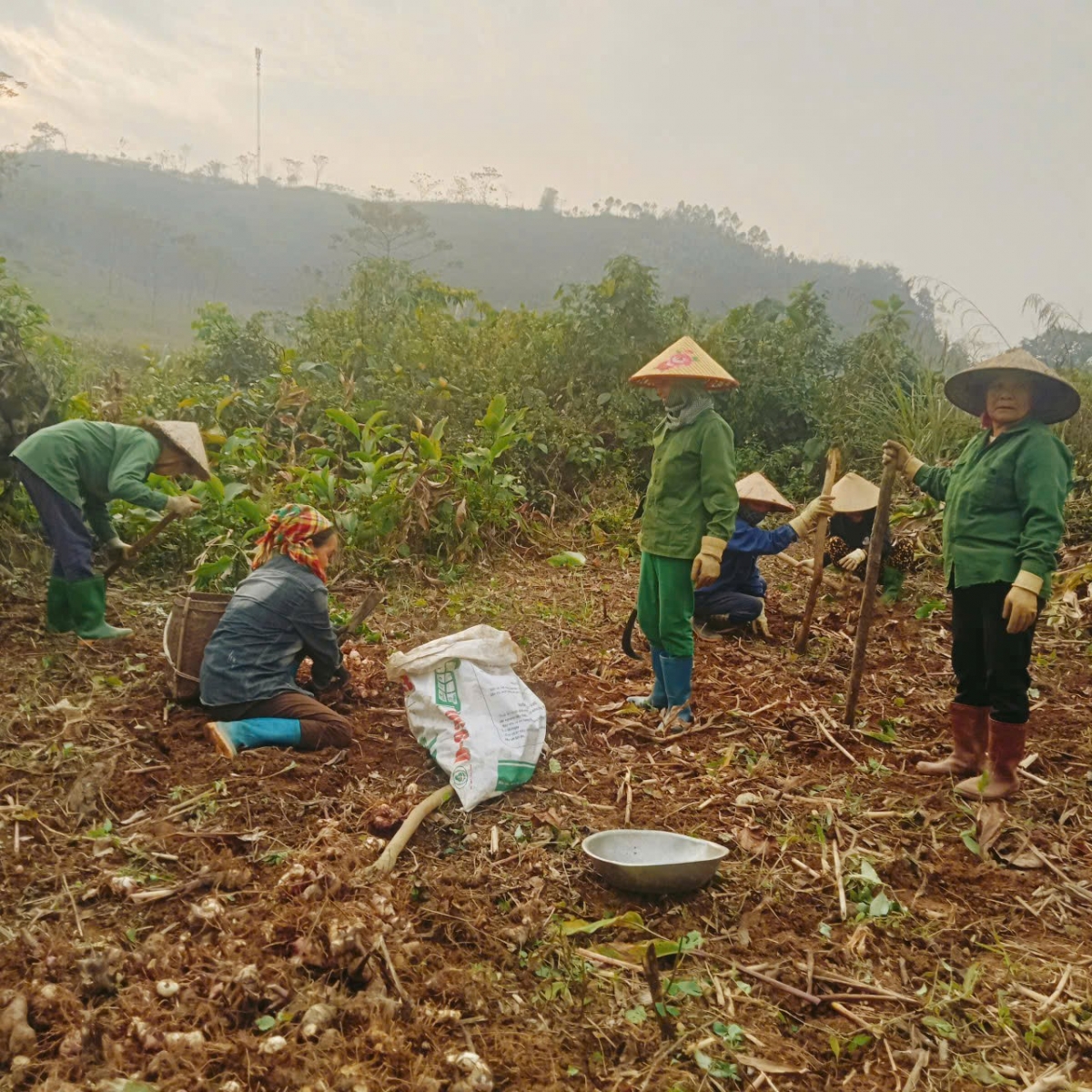 Hoạt động tự giúp nhau và hỗ trợ cộng đồng