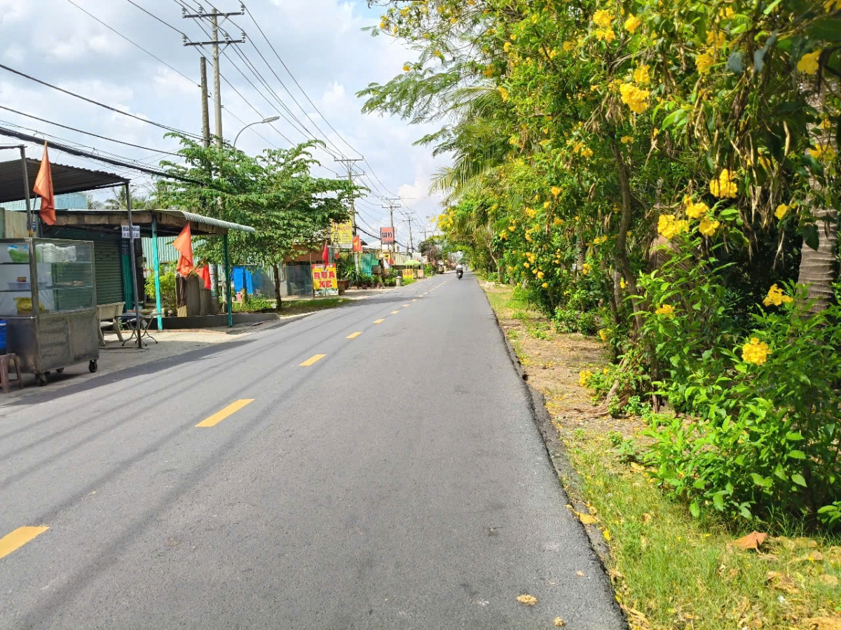 Đại lễ Vesak: Bản giao hòa văn hóa trên đất phương Nam