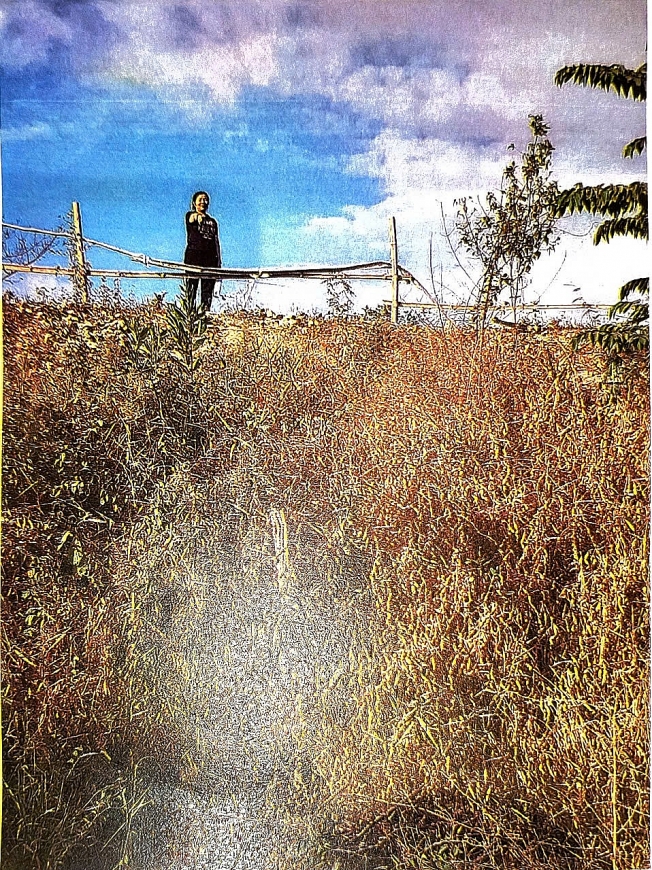 Nhịp cầu bạn đọc