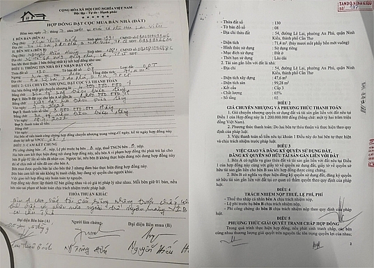 Nhịp cầu bạn đọc