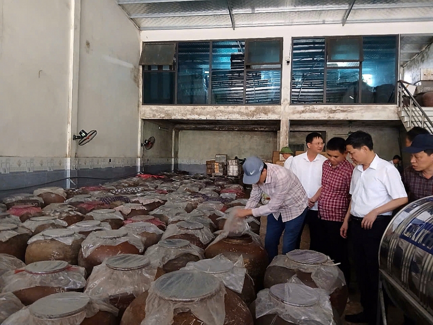 Thanh Hóa: Phóng viên các cơ quan báo chí đi thực tế tại Thành nhà Hồ