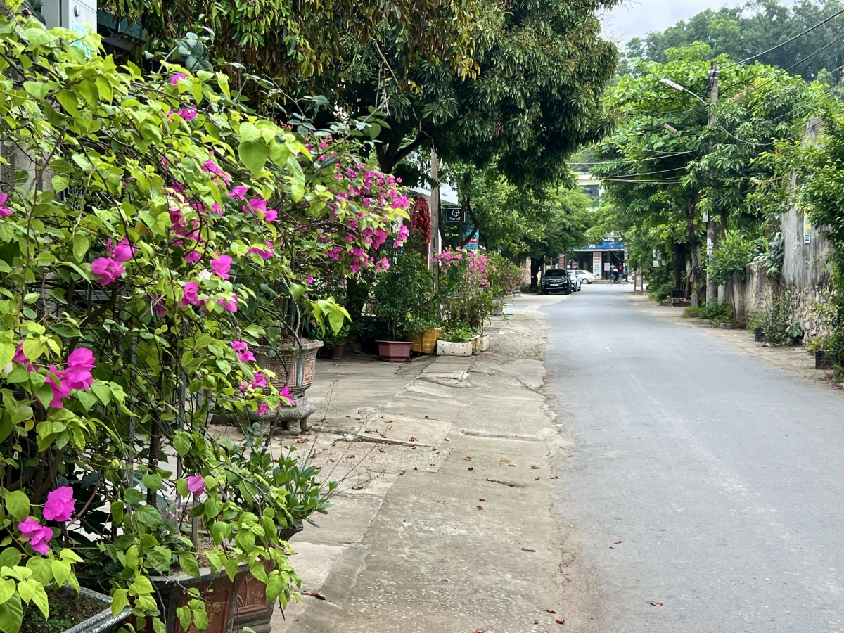 Người cao tuổi thị xã Bỉm Sơn chung tay bảo vệ môi trường, xây dựng nông thôn mới, đô thị văn minh