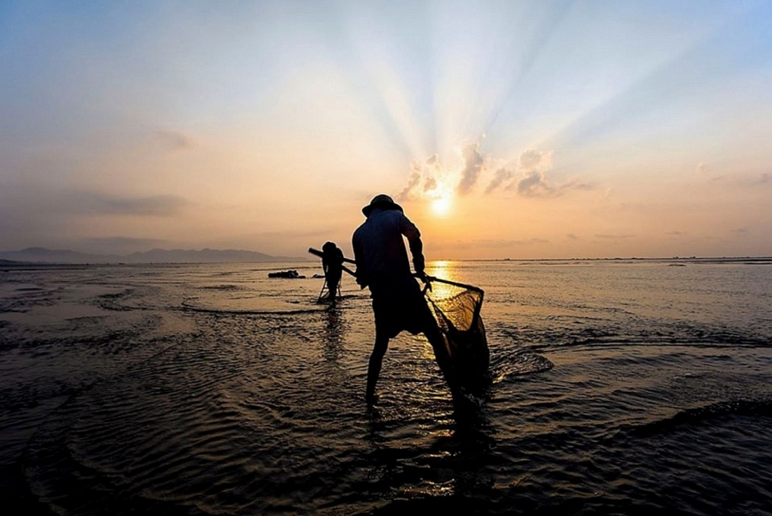 Mùa lộc trời xứ biển