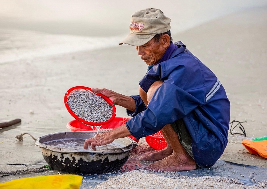 Ngư dân lên bờ đổ ốc ngâm nước biển cho ốc nhả sạch cát, sàng sẩy và phân loại.