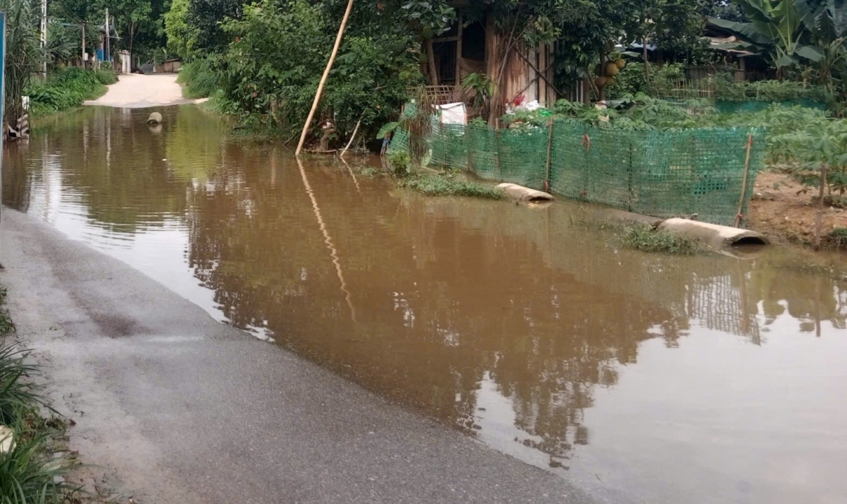 Cứ mưa là ngập, dân khốn khổ vì không có cống thoát nước