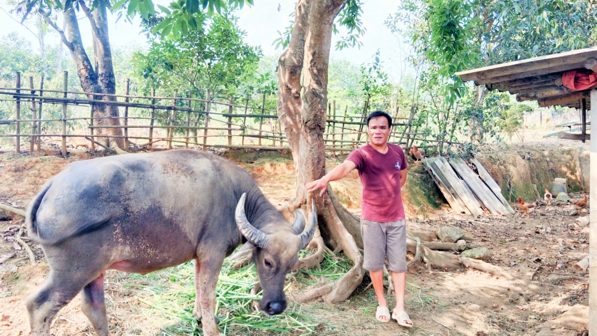 Hiệu quả của CLB Liên thế hệ tự giúp nhau thôn An Phú