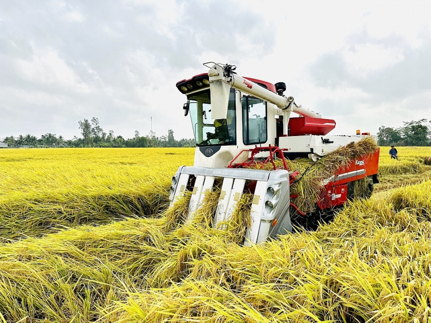 Ngân hàng sẵn sàng cho vay để thực hiện tốt Đề án 1 triệu ha lúa chất lượng cao, phát thải thấp