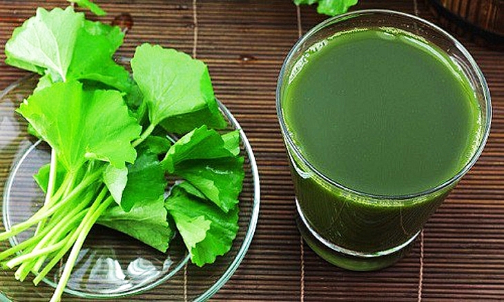 Một số vị thuốc thanh nhiệt, giải độc cơ thể