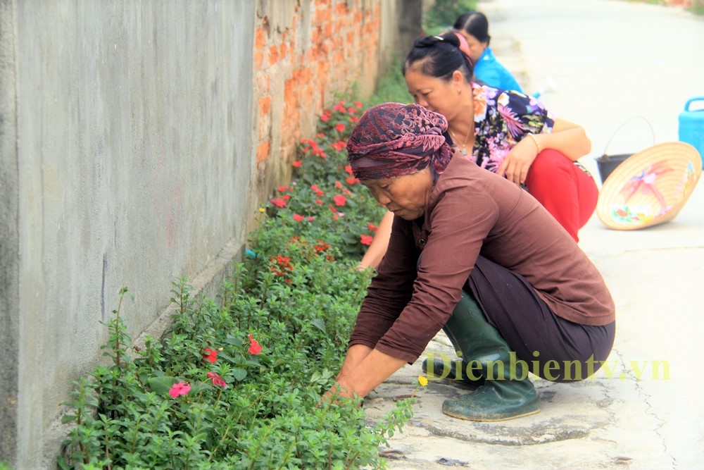 NCT xã Thanh Xương trồng hoa làm đẹp cảnh quan nông thôn mới. Ảnh IT