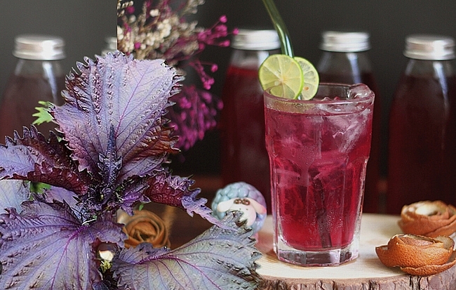 Những trường hợp thận trọng khi uống nước lá tía tô