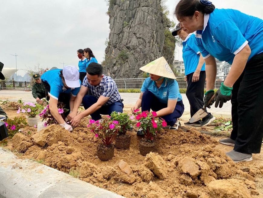 NCT phường Hồng Hải trồng cây xanh các tuyến phố.