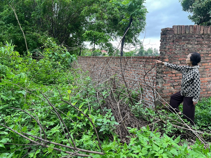 Người cao tuổi bức xúc việc đất được cấp sổ đỏ đúng quy trình, ở gần 20 năm, nay bị cho là cấp sai