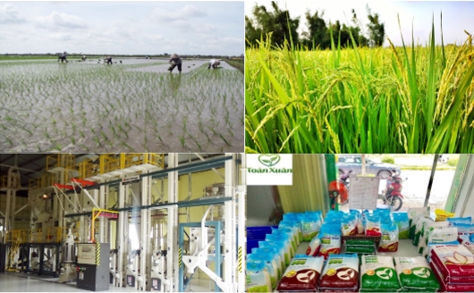 Đảng bộ tỉnh Nam Định - Khẳng định vai trò lãnh đạo, chỉ đạo trong xây dựng và phát triển