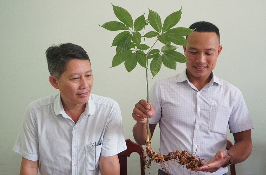 Hồ Văn Dang, thành viên tổ kiểm định sâm tại các phiên chợ sâm Ngọc Linh.