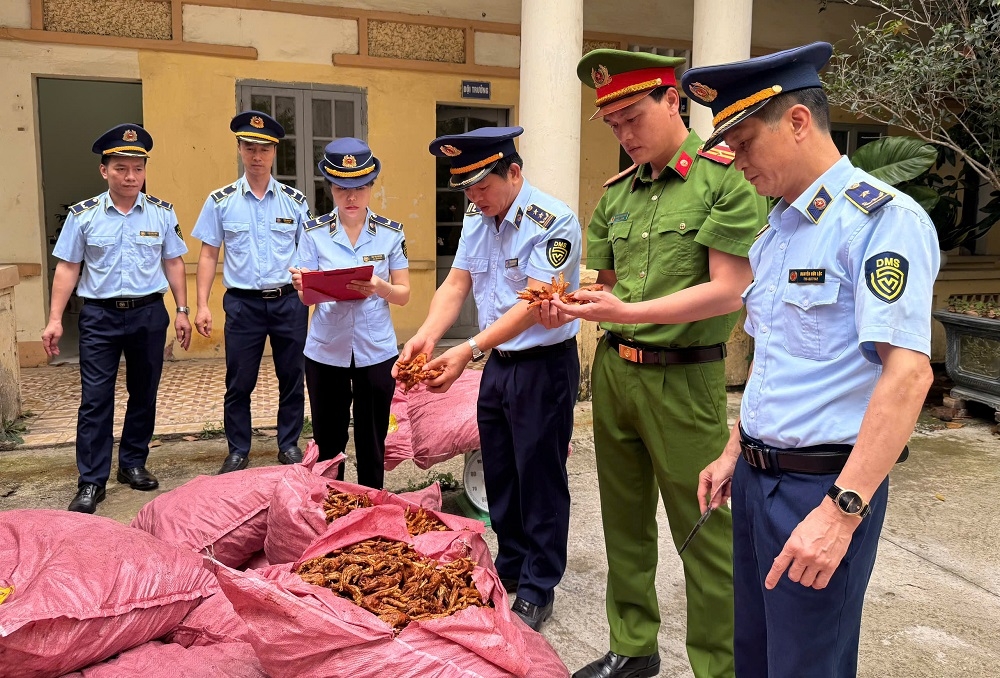 QLTT Lạng Sơn kiểm tra hàng hoá là thực phẩm