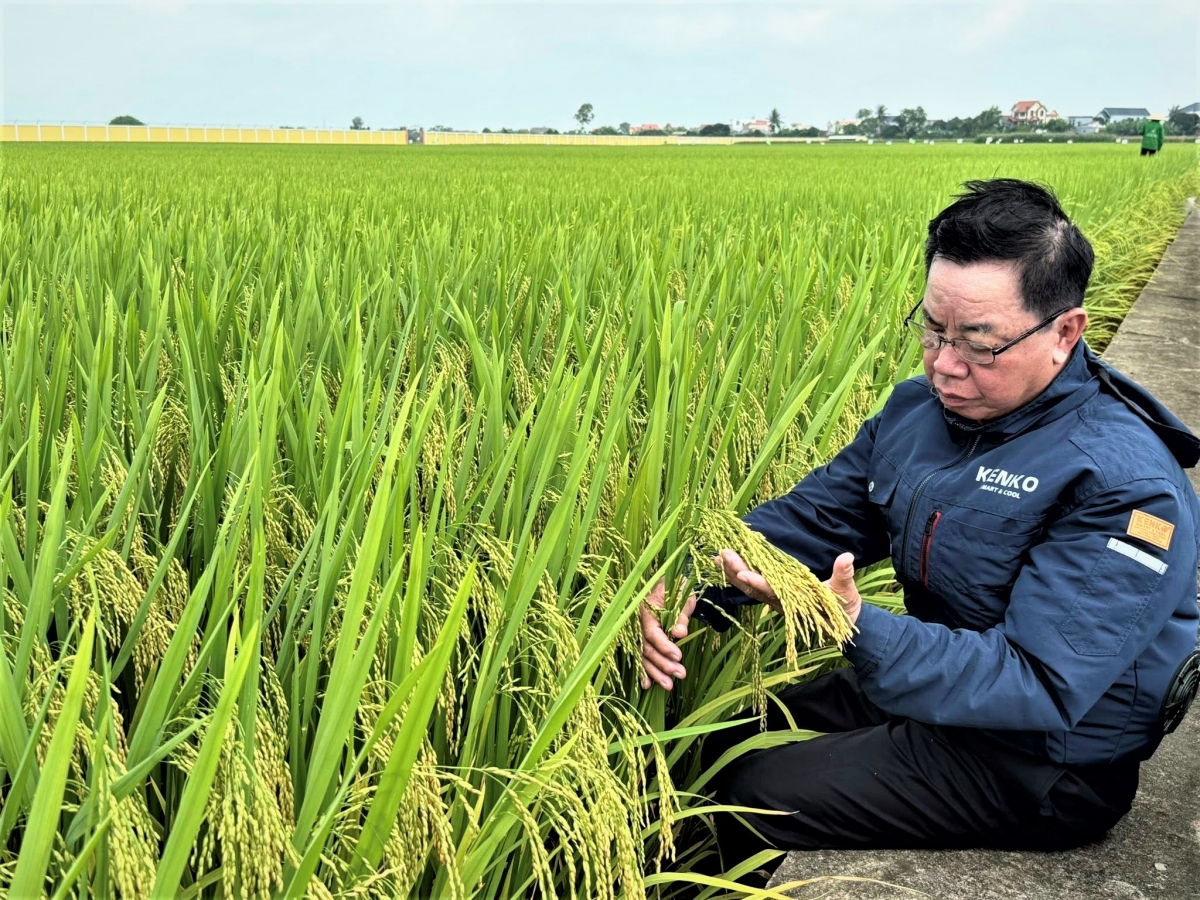 Anh hùng Lao động Trần Mạnh Báo: Dày công “gieo hạt” và gặt hái “mùa vàng”