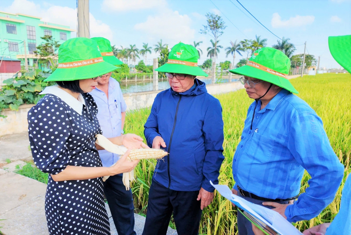 Anh hùng Lao động Trần Mạnh Báo: Dày công “gieo hạt” và gặt hái “mùa vàng”
