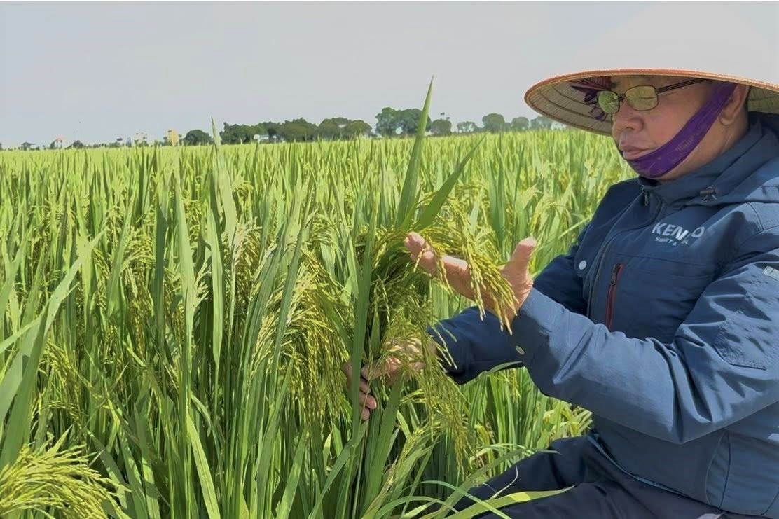 Anh hùng Lao động Trần Mạnh Báo: Dày công “gieo hạt” và gặt hái “mùa vàng”
