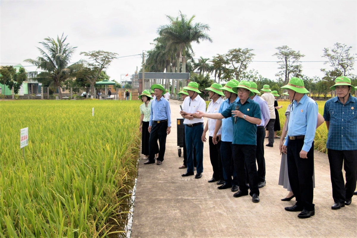 Anh hùng Lao động Trần Mạnh Báo: Dày công “gieo hạt” và gặt hái “mùa vàng”