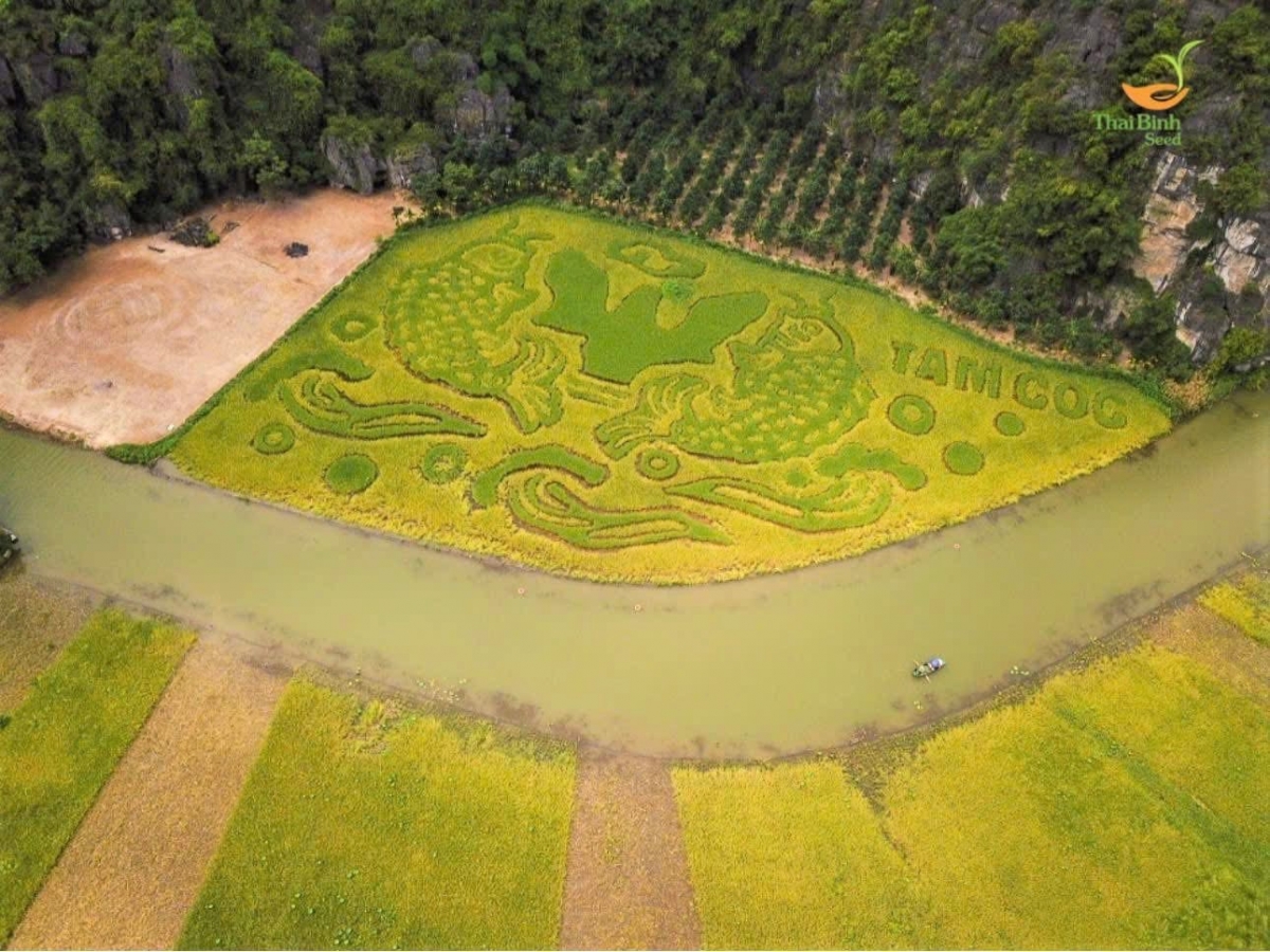 Anh hùng Lao động Trần Mạnh Báo: Dày công “gieo hạt” và gặt hái “mùa vàng”
