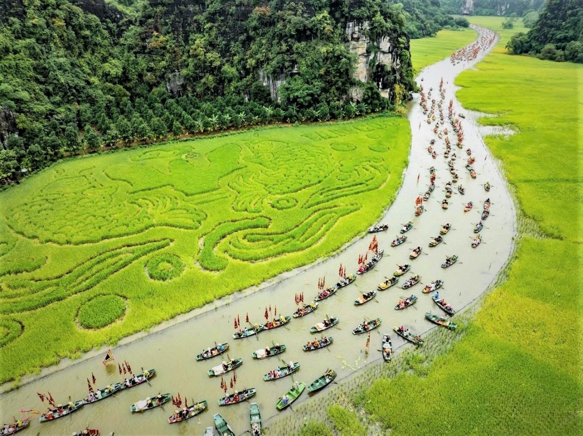 Anh hùng Lao động Trần Mạnh Báo: Dày công “gieo hạt” và gặt hái “mùa vàng”
