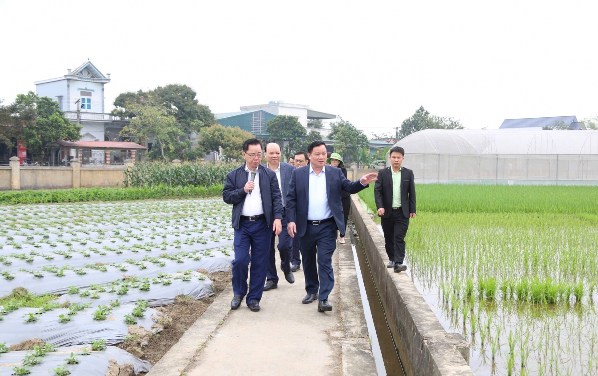 Anh hùng Lao động Trần Mạnh Báo: Dày công “gieo hạt” và gặt hái “mùa vàng”