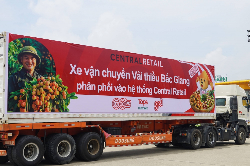 Xe container vận chuyển vải thiều từ Bắc Giang để phân phối trên thệ thống siêu thị của Central Retail Việt Nam