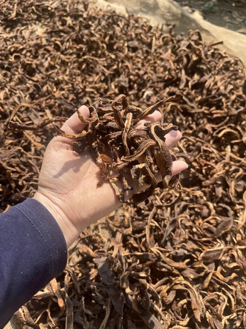 Công ty TNHH Mai Tâm Phương đứng vững trên thị trường bằng uy tín và chất lượng sản phẩm