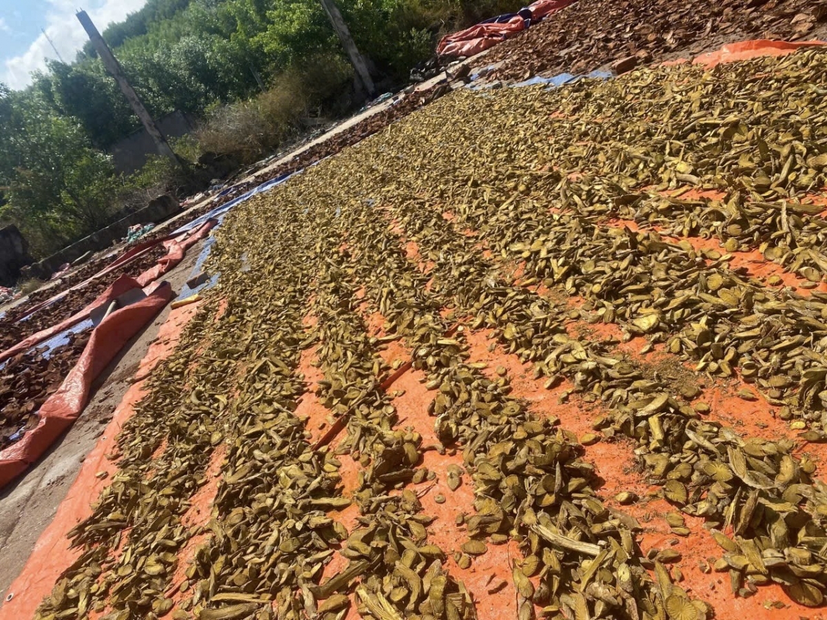 Công ty TNHH Mai Tâm Phương đứng vững trên thị trường bằng uy tín và chất lượng sản phẩm