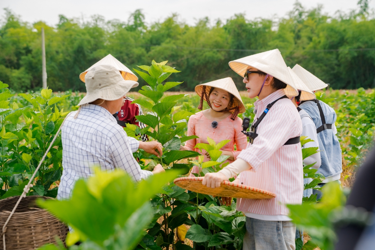 Tập 11 “Về Quê Làm Giàu”: Hành trình khám phá làng lụa Mã Châu xứ Quảng